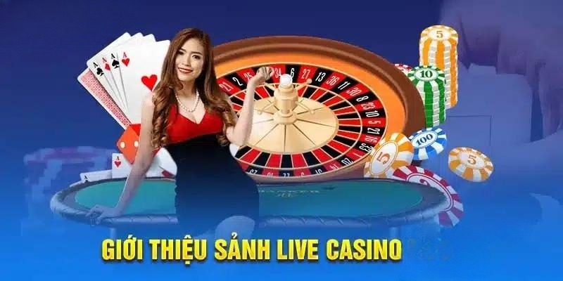 Sân chơi mang đến những trải nghiệm mới cho người chơi