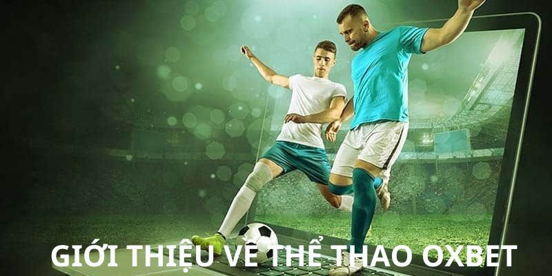 Giới thiệu sơ lược về danh mục sports online uy tín